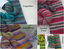 Subscription for Monthly Self Striping Sock Yarn Club