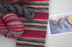 Sandhill Crane - Self Striping Sock Yarn