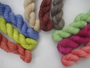 Subscription for Semi-Solid Skeins or Minis (monthly or bi-monthly)