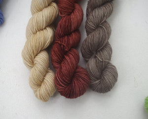 Subscription for Semi-Solid Skeins or Minis (monthly or bi-monthly)