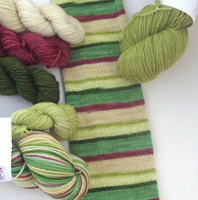 PREORDER: Chicken Coop on a Frosty Morn, Self-Striping or Solid yarn (Ships April 10)