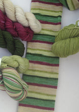 PREORDER: Chicken Coop on a Frosty Morn, Self-Striping or Solid yarn (Ships April 10)