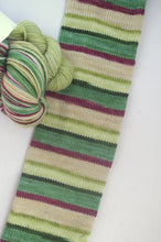 PREORDER: Chicken Coop on a Frosty Morn, Self-Striping or Solid yarn (Ships April 10)