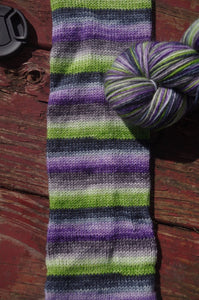 Wallk on your Wild Side Day - Self Striping Sock Yarn - Corriedale