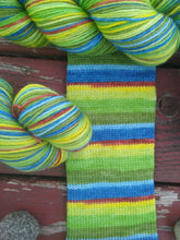 Lakeside Picnic - Corriedale - Self Striping Sock Yarn