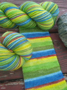 Lakeside Picnic - Corriedale - Self Striping Sock Yarn
