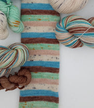 Oology - Self Striping Sock Yarn - Corriedale Sock