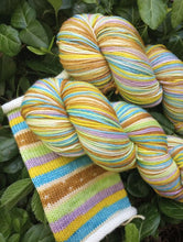 Rescuing Lola - Targhee Fingering Self Striping Sock Yarn