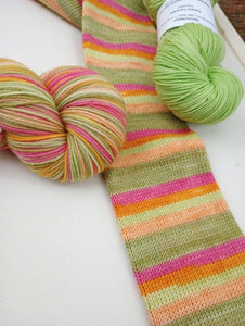 Summer Cucurbits - Self-Striping Sock yarn
