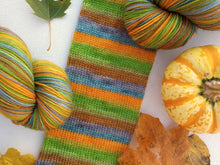 Seasons Change - Self Striping Sock Yarn