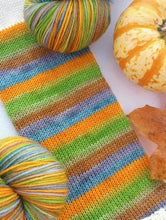 Seasons Change - Self Striping Sock Yarn