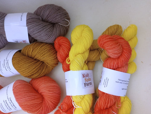 Yarn Club: Semi-Solid Skeins or Mini Sets (monthly or bi-monthly)