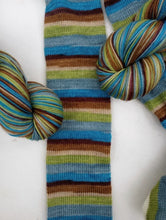 Looking for Fishies - Walk With Us!- Self Striping Sock Yarn