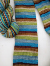 Looking for Fishies - Walk With Us!- Self Striping Sock Yarn