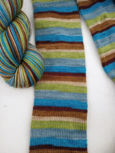Looking for Fishies - Walk With Us!- Self Striping Sock Yarn