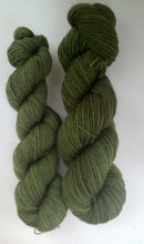 Table Queen Acorn Squash - Semi-Solid sock yarn