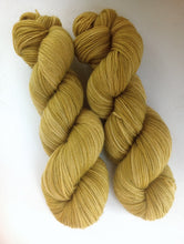 Carnival Squash - Semi-Solid sock yarn (Yarny McYarnFace)