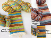 OPENINGS IN FEBRUARY! Single Skein or Quarterly Club: Walk With Us!- Self Striping Sock Yarn