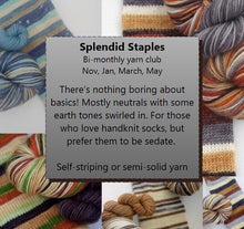 Coming Soon: Splendid Staples bi-monthly yarn club (odd months)