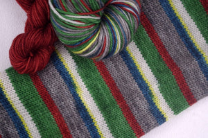 Blowdown at Highfalls Self-Striping yarn