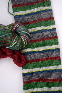 Blowdown at Highfalls Self-Striping yarn