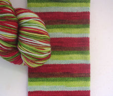 PREORDER:  Deep Woods Solstice Celebration - Self Striping Sock Yarn (ships Nov 11)