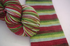 PREORDER:  Deep Woods Solstice Celebration - Self Striping Sock Yarn (ships Nov 11)