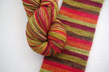 PREORDER: Cider Apples - Self-striping sock yarn (ships Oct 15)