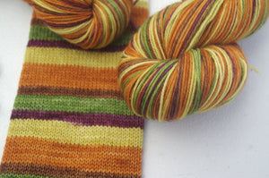 Festival of Autumnal Yarn - Self Striping Sock Yarn